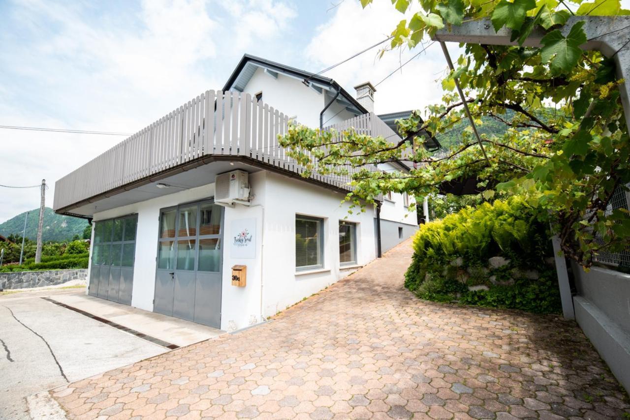 Funky Soul Studio Zirovnica 外观 照片